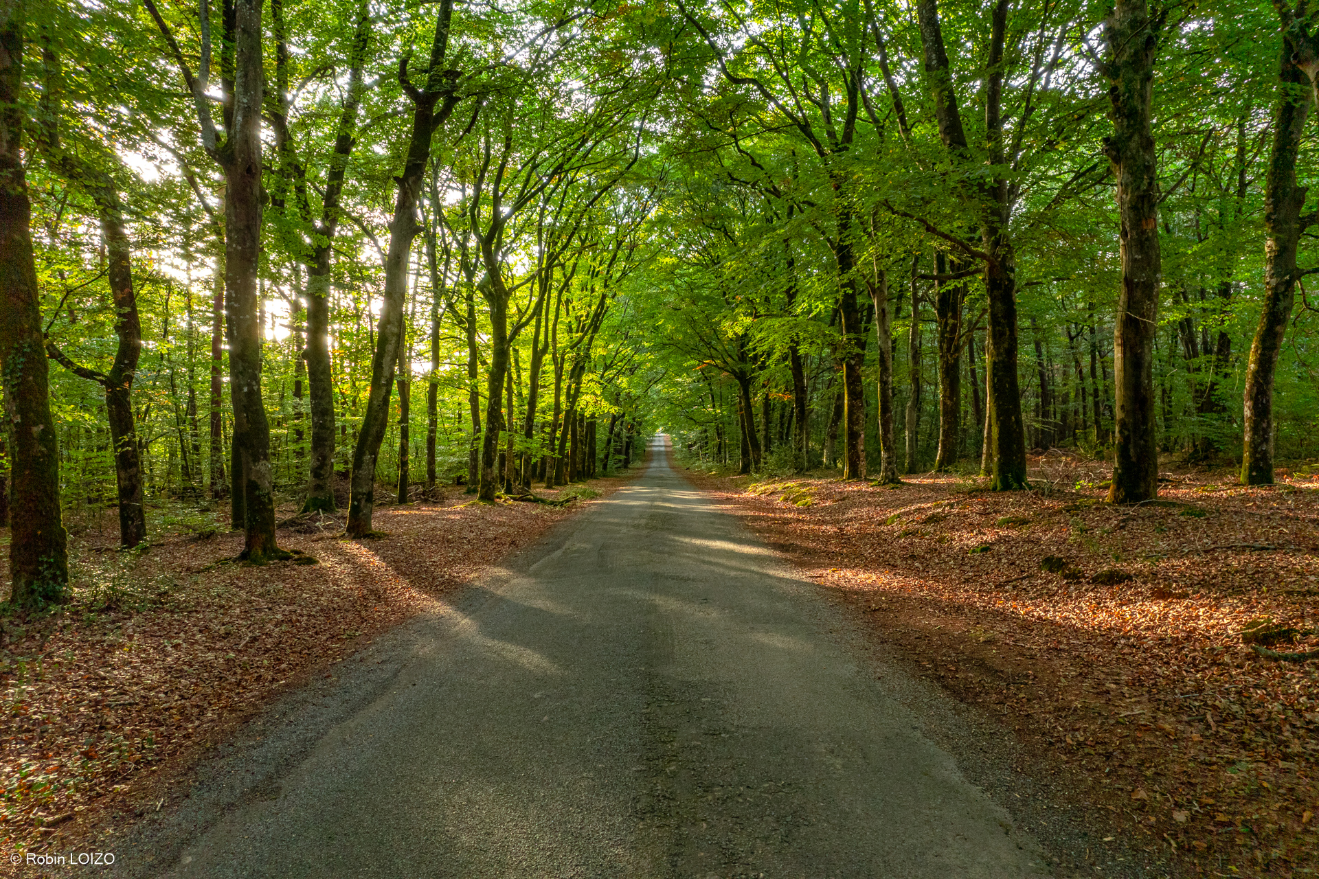 Présentation Commune de Malansac